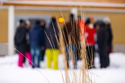 Close-up of plant with people in background