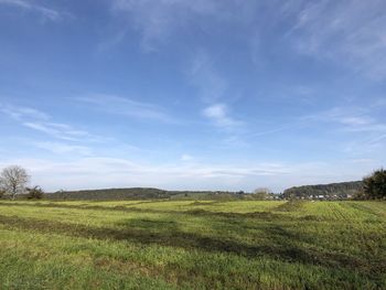 Scenic view of field against sky