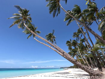 Scenic view of sea against blue sky