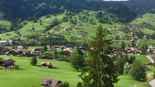 High angle view of trees and houses on field