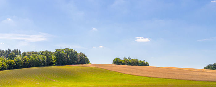 Scenic view of agricultural field against sky