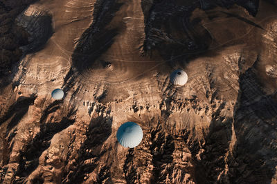 High angle view of shells on rock