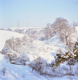 Scenic view of snow covered field