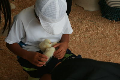 High angle view of boy playing with chicks while sitting at coop