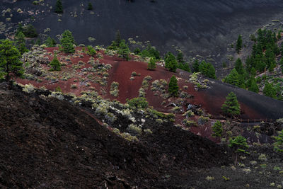 High angle view of townscape