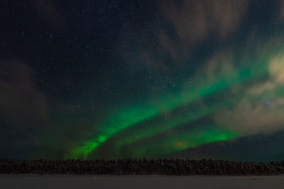 Low angle view of star field against sky at night