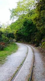 Country road along trees