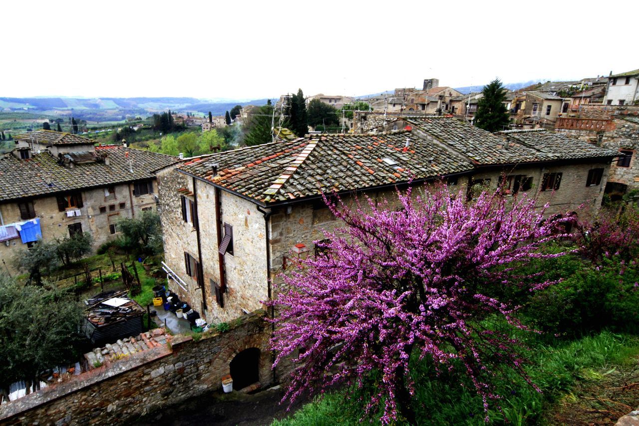 Spring time in san gimignano