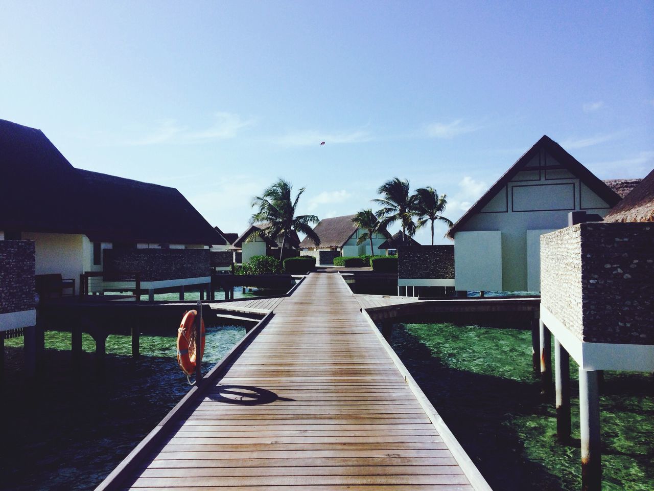 the way forward, sky, railing, empty, boardwalk, built structure, narrow, diminishing perspective, tranquility, tree, architecture, wood - material, walkway, absence, long, tranquil scene, leading, vanishing point, wood, nature