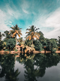 Reflection of trees in lake against sky