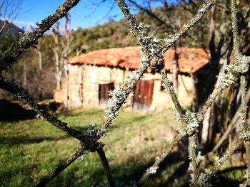 Close-up of barbed wire