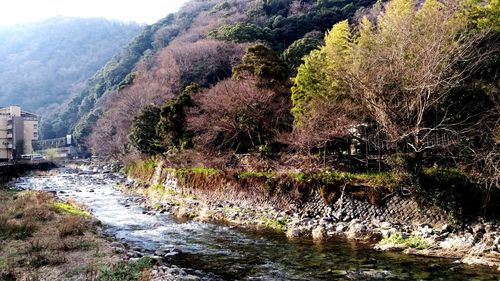 River amidst trees against sky