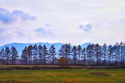 Trees on field