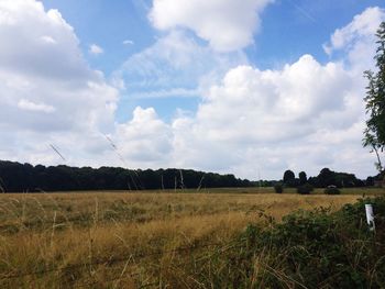 Scenic view of field against cloudy sky