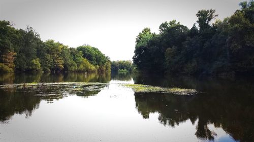 Reflection of trees in calm lake