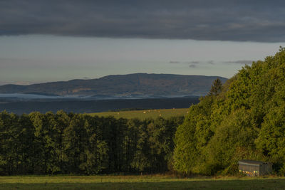 Scenic view of landscape against sky