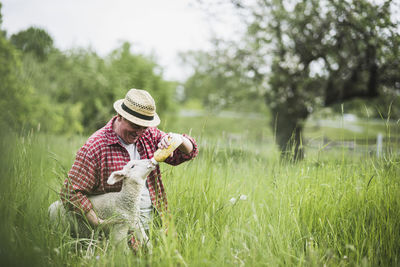 Shepherd feeding lamb with milk bottle