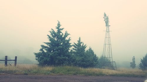 Trees on field against sky