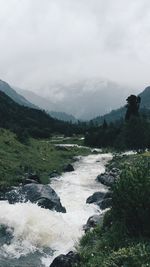 Scenic view of river in forest against sky