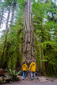 Rear view of man walking in forest