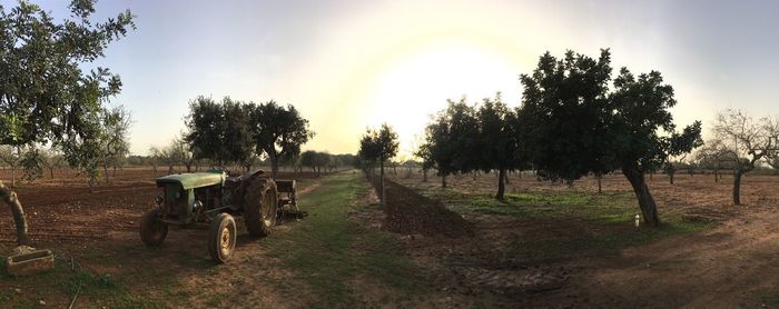 Panoramic view of agricultural field against sky