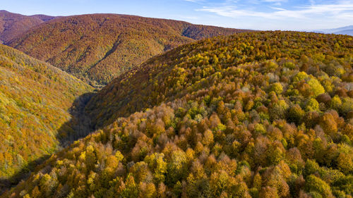 Scenic view of landscape against sky during autumn