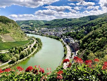 Scenic view of flowering plants and trees against sky