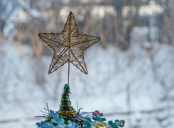 Close-up of christmas tree