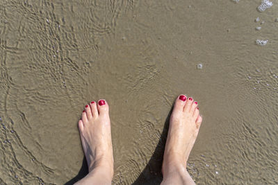 Low section of person on wet sand at beach