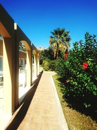 Footpath amidst houses against clear blue sky