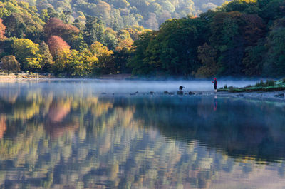 Autumnal mist over lake with dog and owner