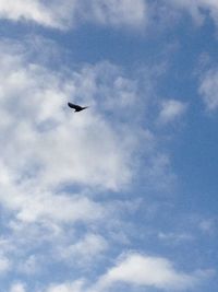 Low angle view of bird flying against cloudy sky