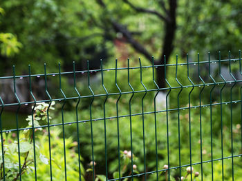 Close-up of barbed wire fence on field