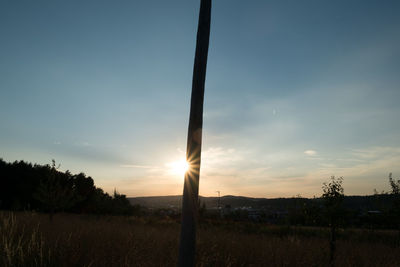 Trees against sky during sunset