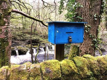 Close-up of mailbox on tree