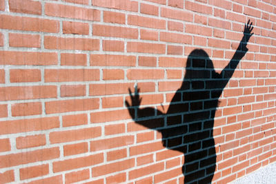 Shadow of man on brick wall