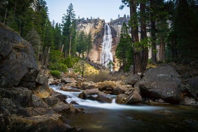 Scenic view of waterfall in forest