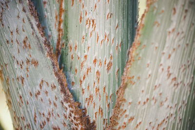 Full frame shot of weathered wood