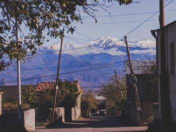 Street amidst trees and buildings against sky