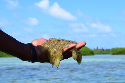 Close-up of hand holding sea against sky