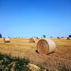 Hay bales on land against clear sky