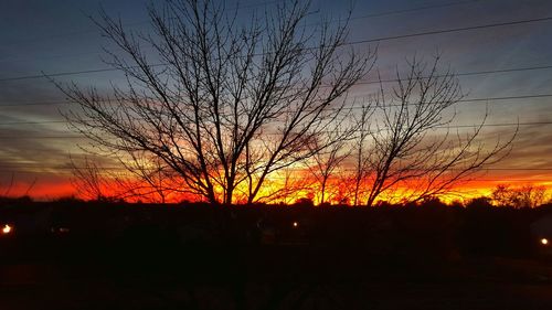 Silhouette of trees at sunset