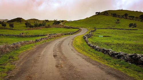 Dirt road amidst green landscape against sky