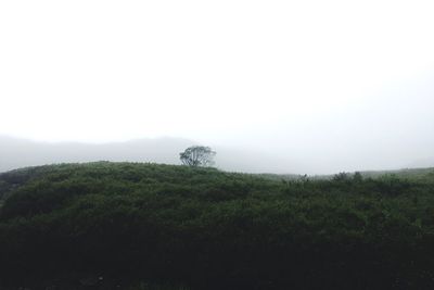 Scenic view of field against clear sky