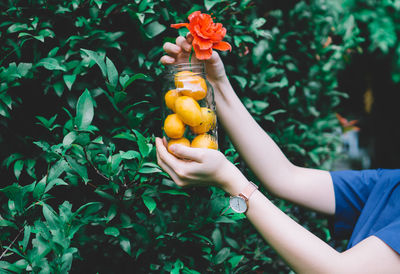 Close-up of hand holding jar with mango and flower