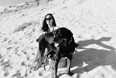 Dog on sand at beach