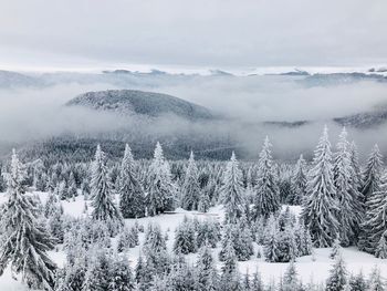 Scenic view of snow covered landscape against sky