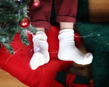 Low section of woman with christmas tree