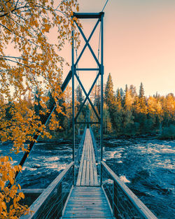 Footbridge amidst trees during autumn