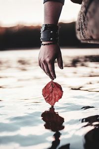 Close-up of hand holding leaf